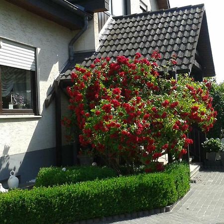 Ferienwohnung Schmetterling Fritzlar Exterior photo